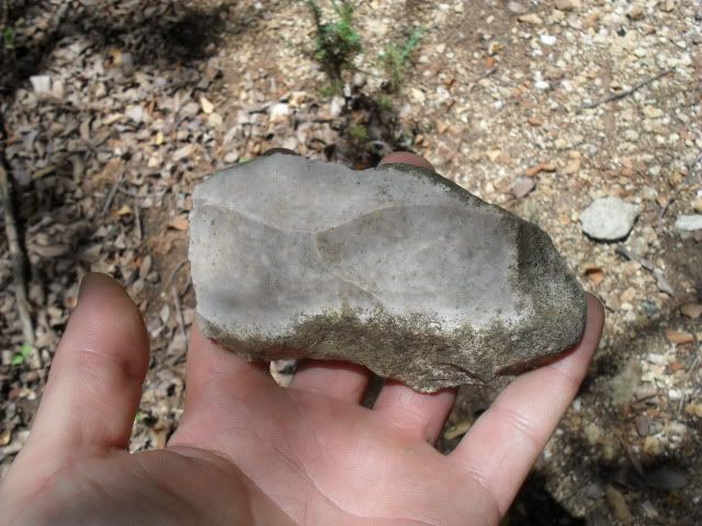 SDC10109.jpg