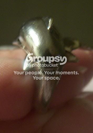 RingDolphin0529094.jpg