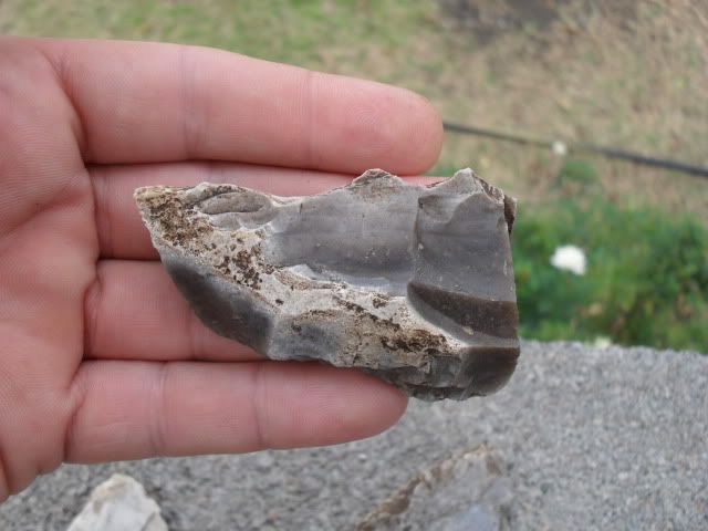 SDC10099.jpg