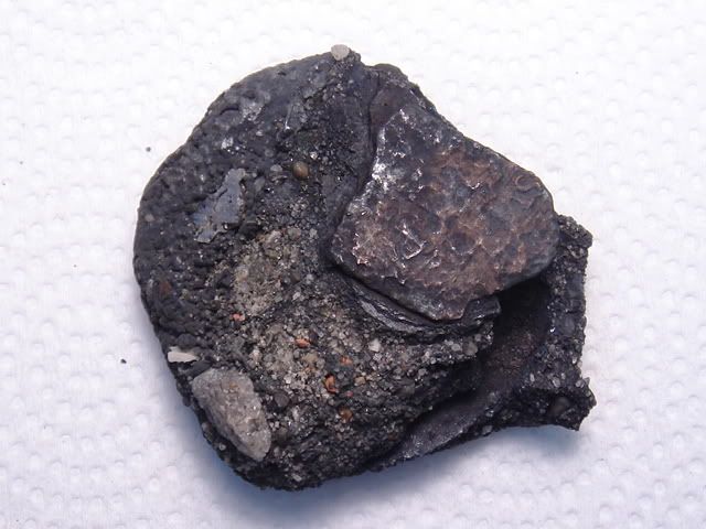 DSC00010.jpg