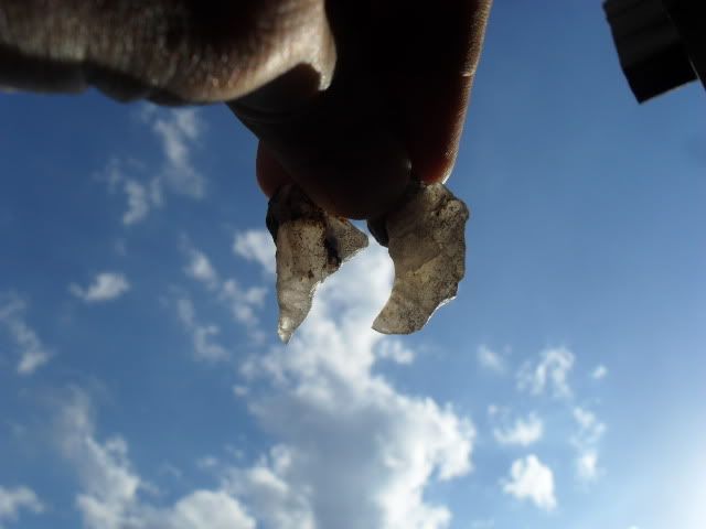 SDC10285.jpg