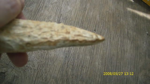 DSCI0883.jpg