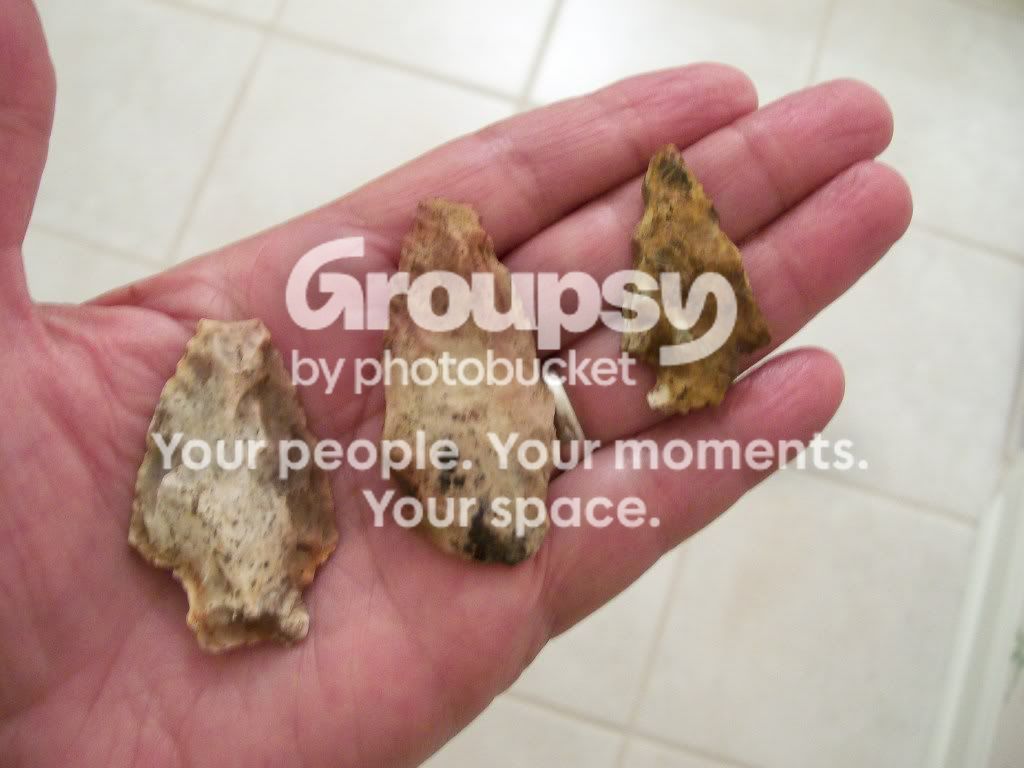 100_4097.jpg