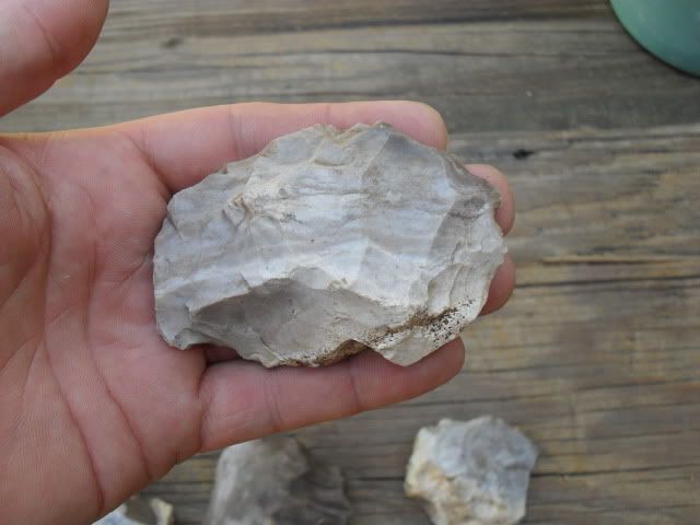 SDC10074.jpg