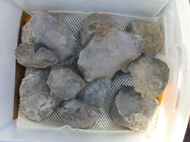 SDC10989.jpg
