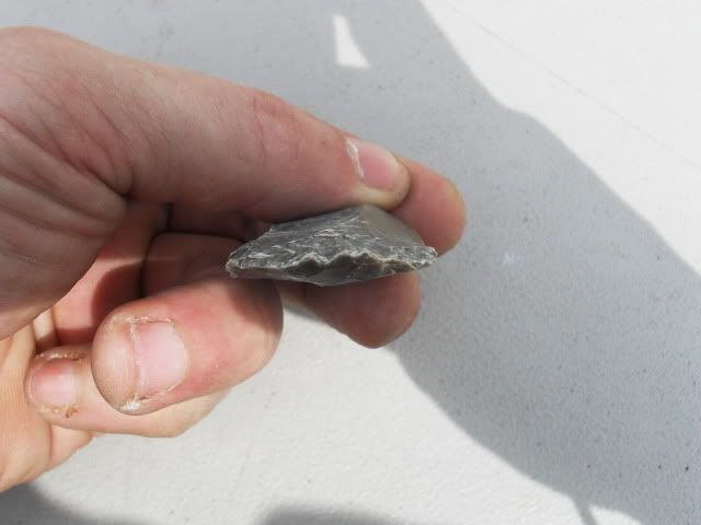 SDC11337.jpg