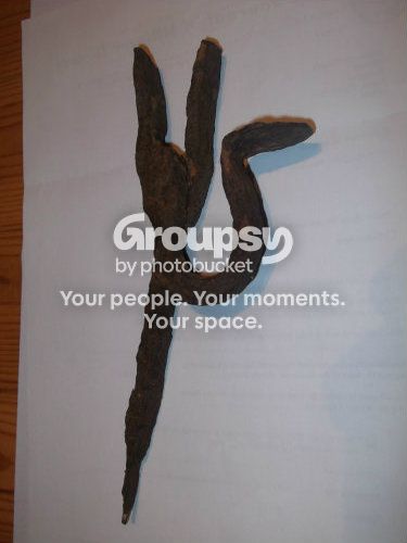 MysterObject.jpg