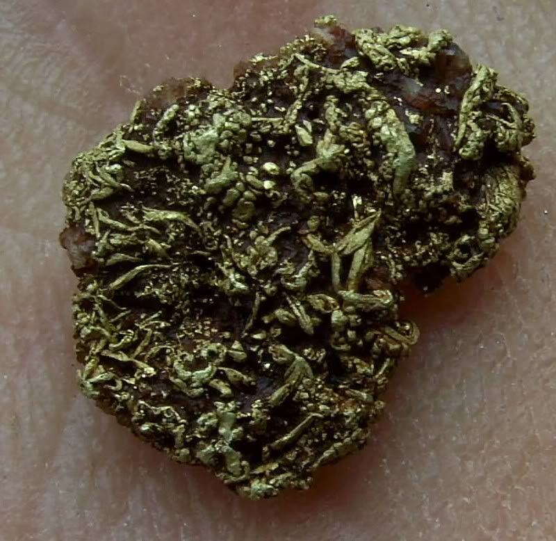 Thamesgold6.jpg