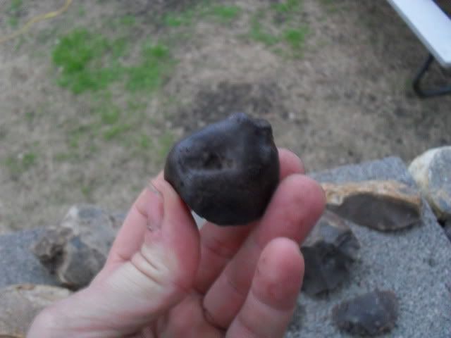 SDC10373.jpg