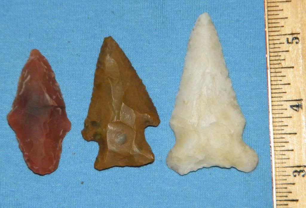 DSCN1254.jpg