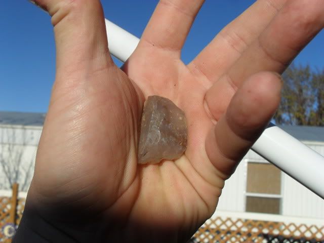 SDC10160.jpg