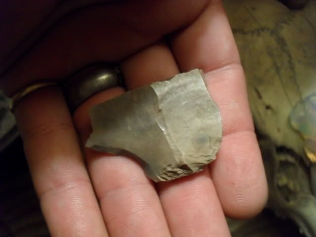 SDC17383.jpg