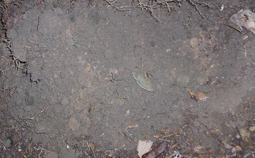 Hunt003.jpg