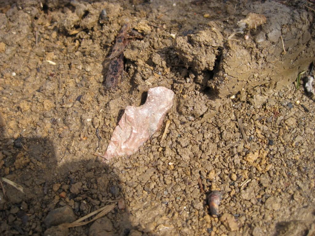 IMG_2189.jpg