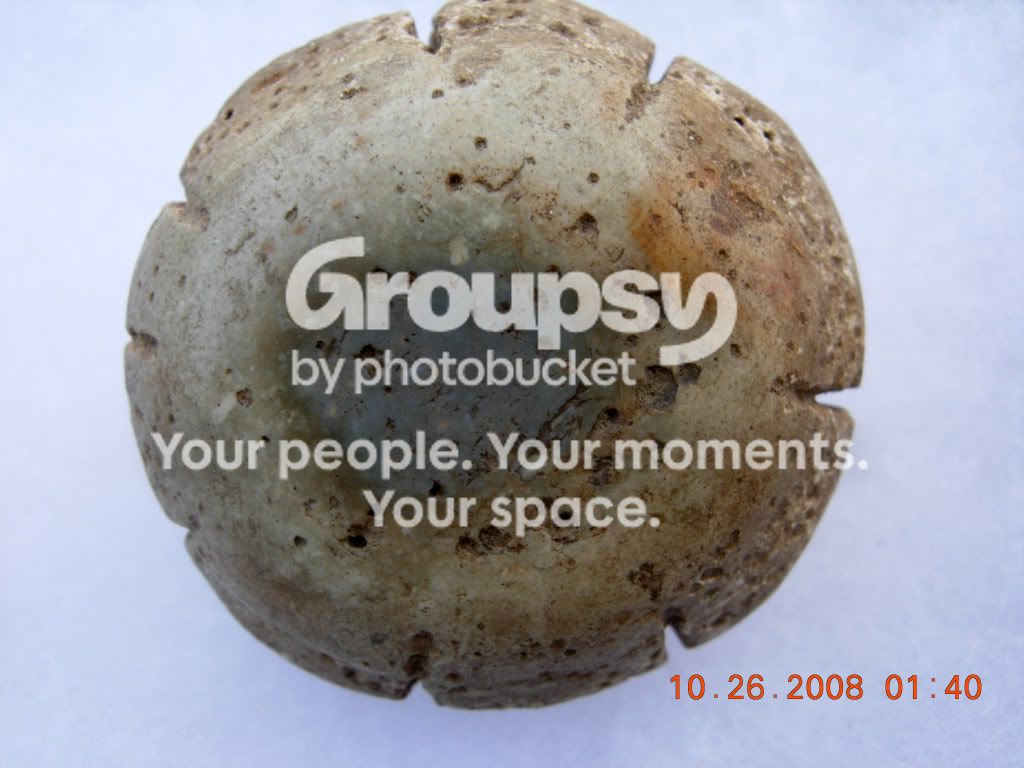 DSCN1273.jpg