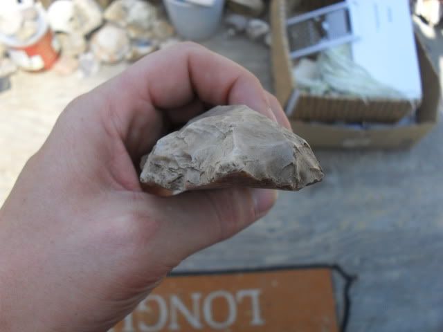 SDC10530.jpg