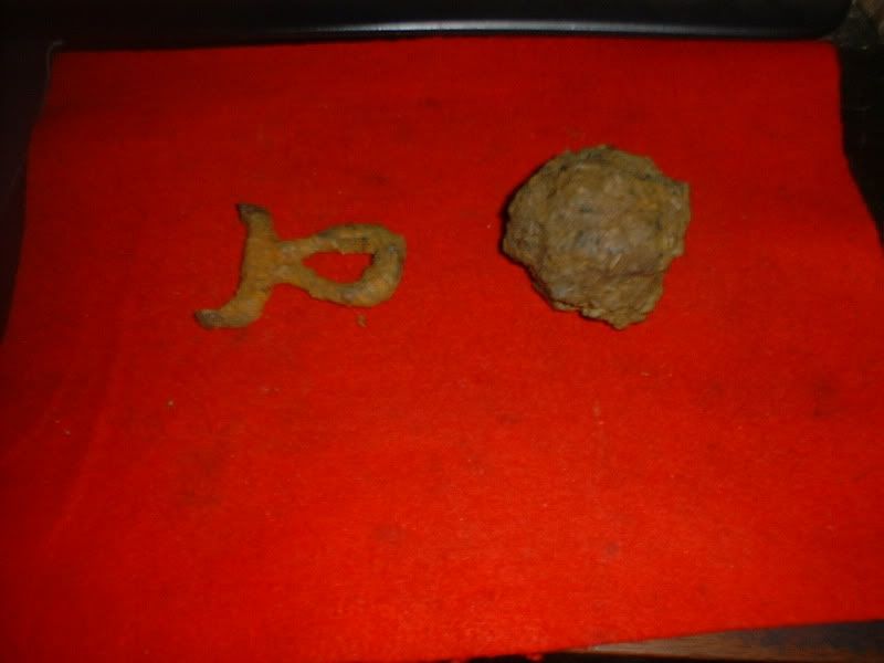 41611beachfindscannonball.jpg