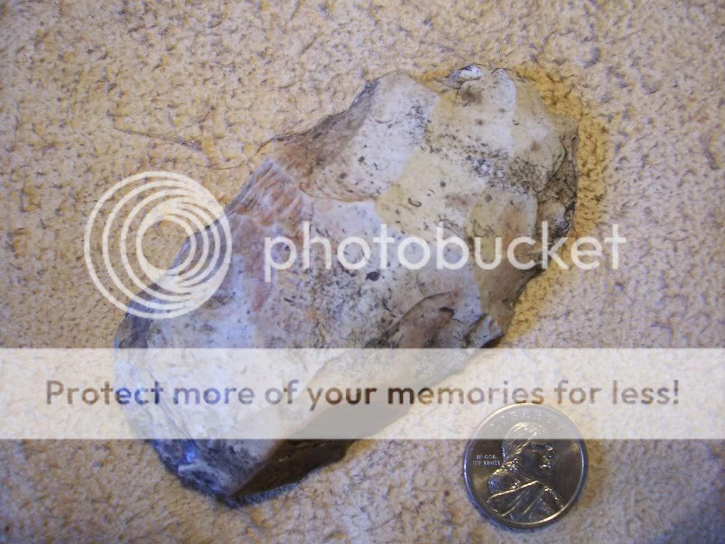 creekfinds001-3.jpg