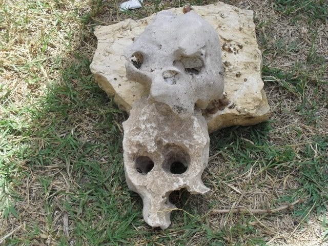 SDC17611.jpg