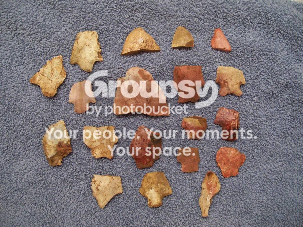 100_5050.jpg