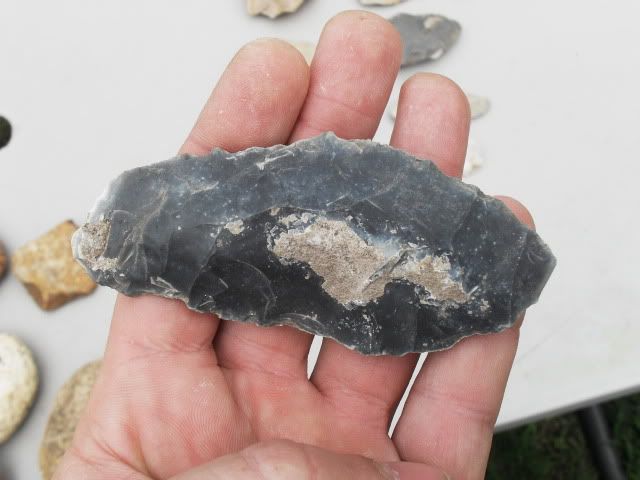 SDC11478.jpg
