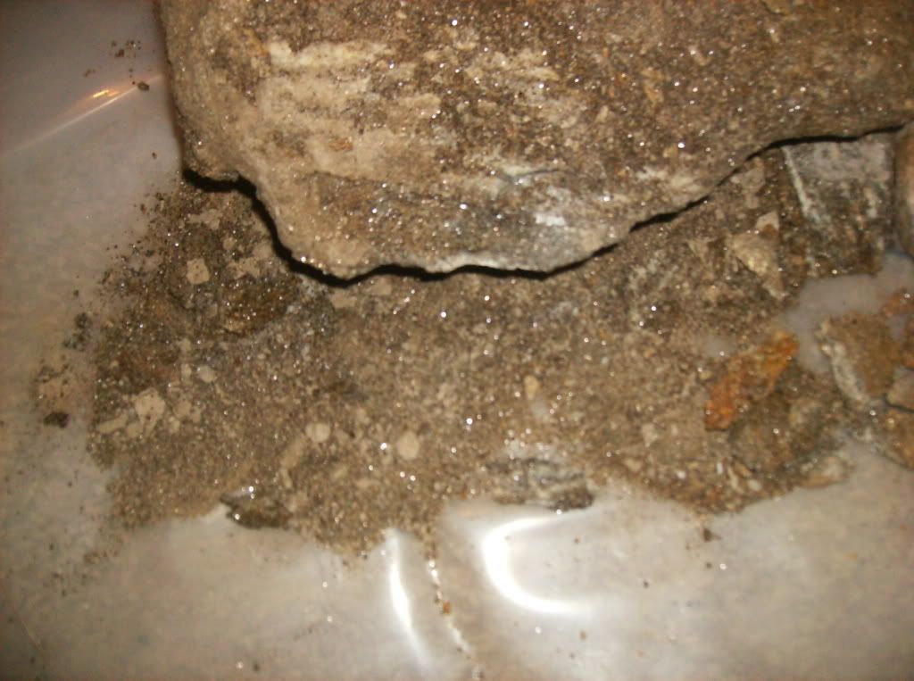 HPIM0723.jpg