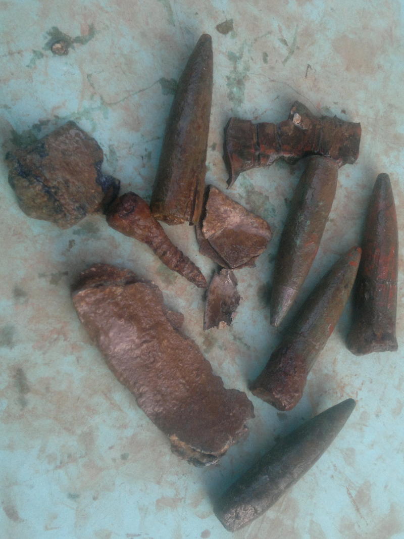 18702453qx.jpg