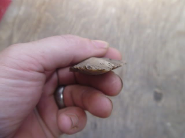 P1050171.jpg