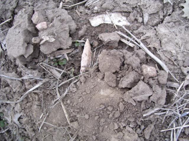100_1087.jpg