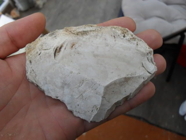 SDC10554.jpg