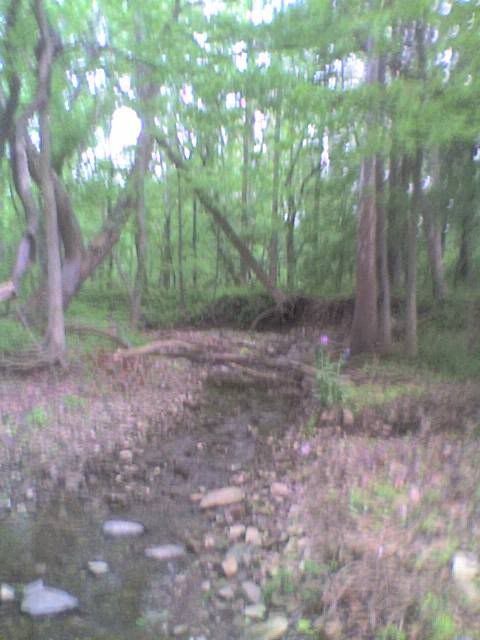 051009_1904a.jpg