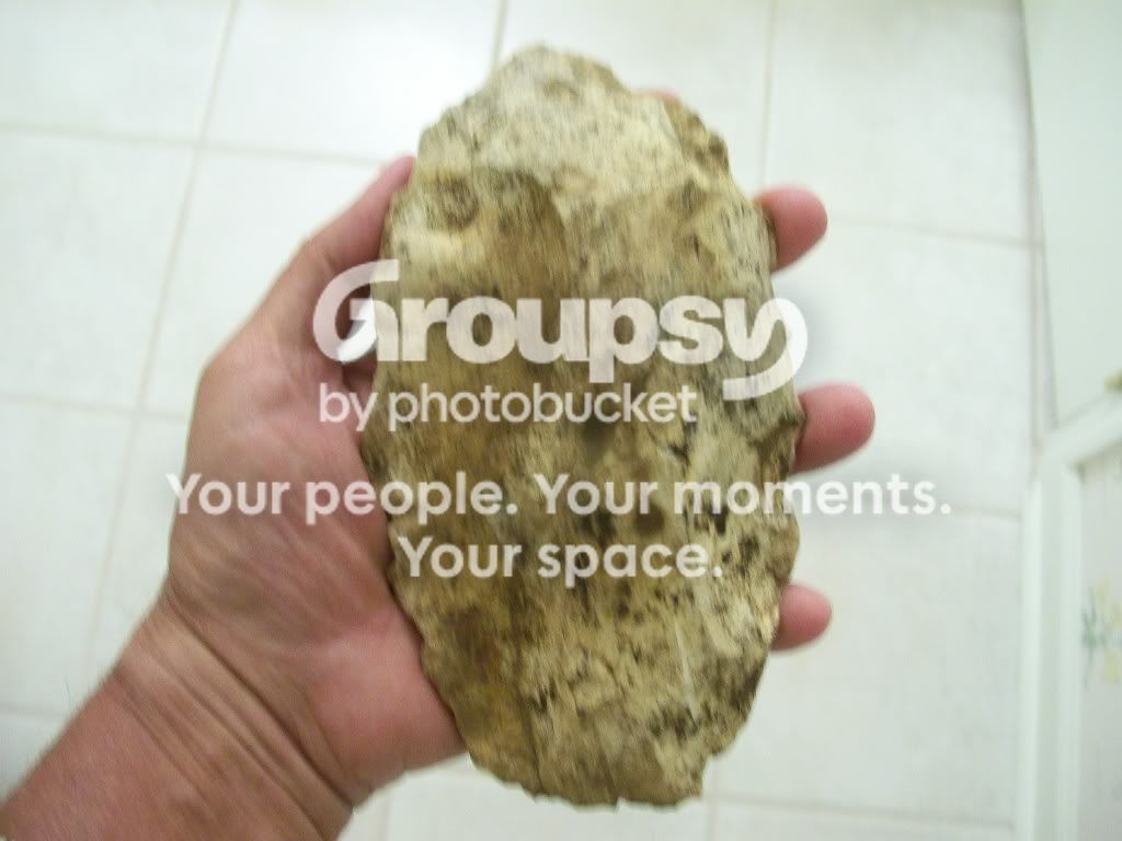 100_4043.jpg