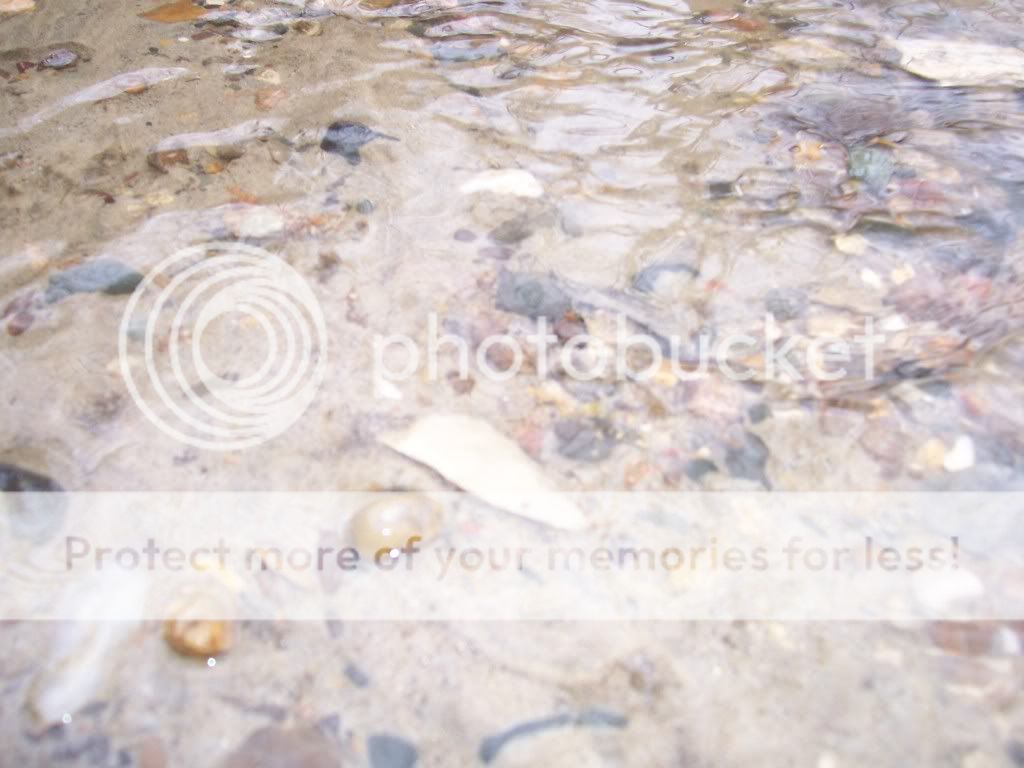 creekfinds90005.jpg