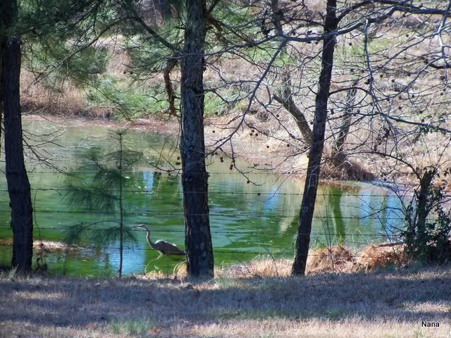100_0120.jpg
