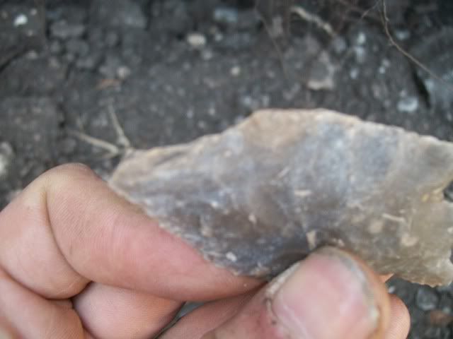 100_0645.jpg