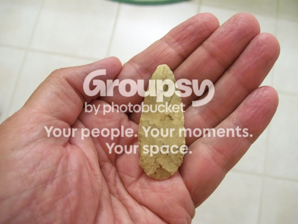 100_4081.jpg