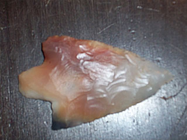 100_2643-1.jpg