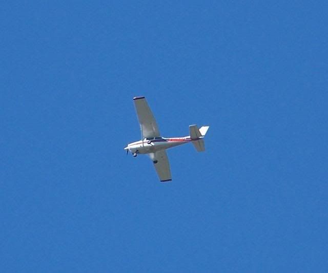 000_0329.jpg