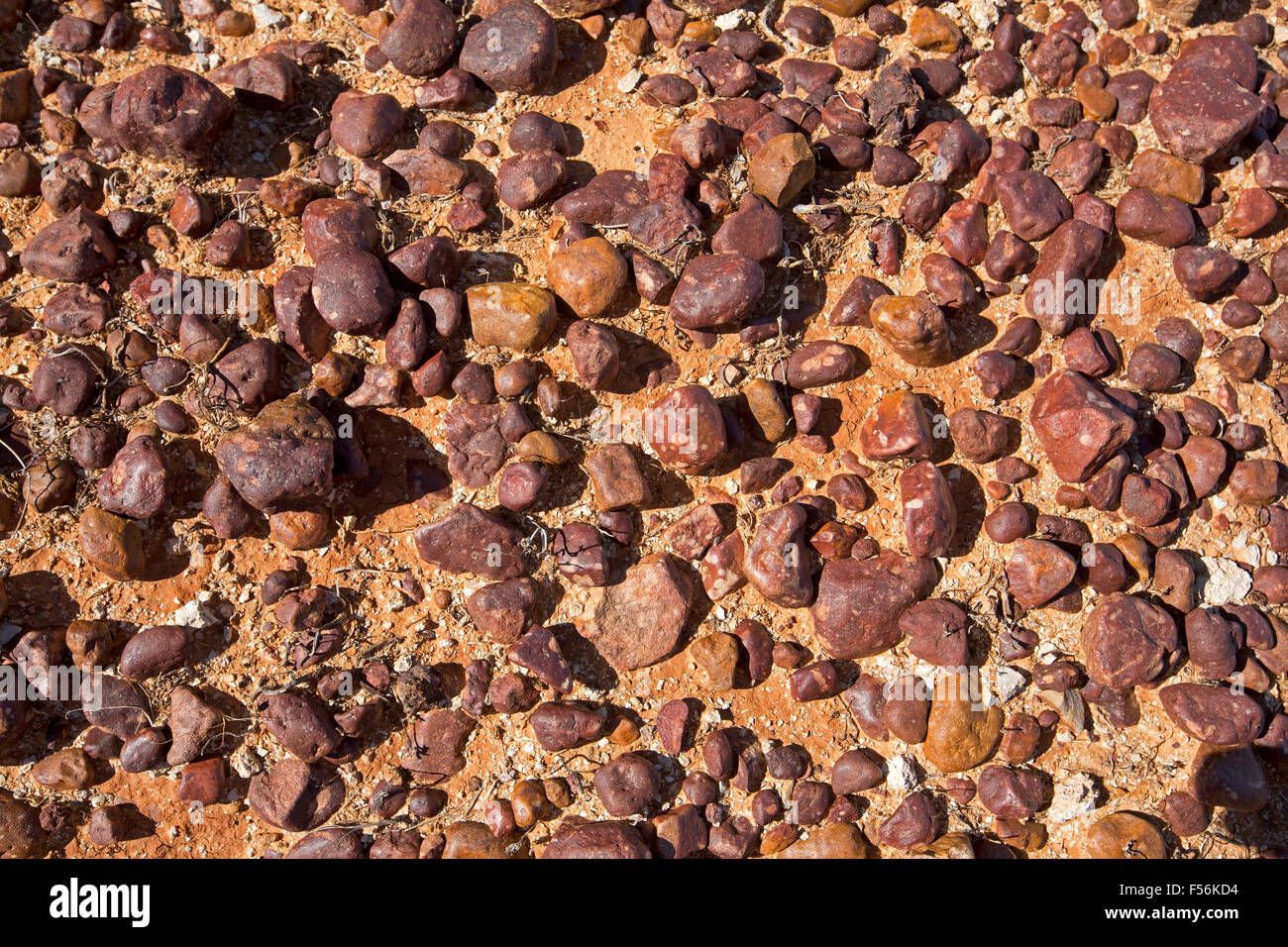 dark-red-brown-gibber-stones-of-outback-plains-in-queensland-australia-F56KD4.jpg