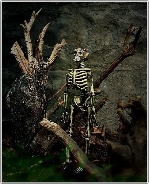 Waiting_for_Halloween_M.jpg