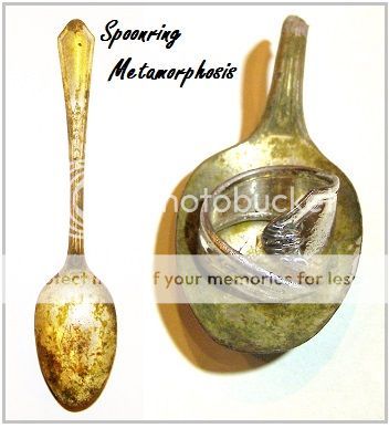 spoonring-1_zps6df4667b.jpg