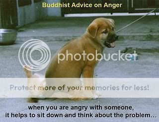 buddhist-advice-on-anger2.jpg