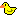 duckie :duckie: :duckie:
